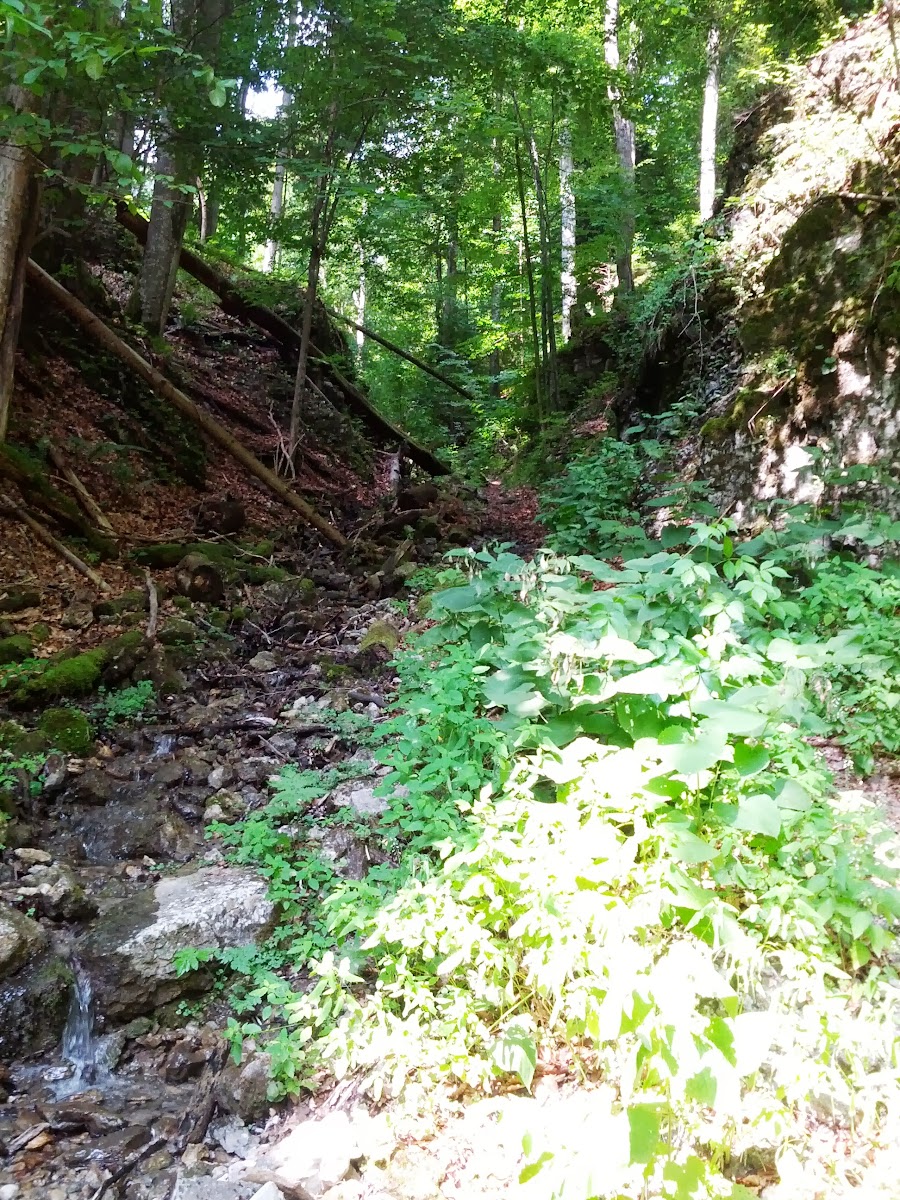 lh5.googleusercontent.com_-dxnkibyecf4_ueqyasdnloi_aaaaaaaaoio_2yyw-wmhaj0_w900-h1200-no_img_20130720_112252.jpg lh5.googleusercontent.com_-dxnkibyecf4_ueqyasdnloi_aaaaaaaaoio_2yyw-wmhaj0_w900-h1200-no_img_20130720_112252.jpg