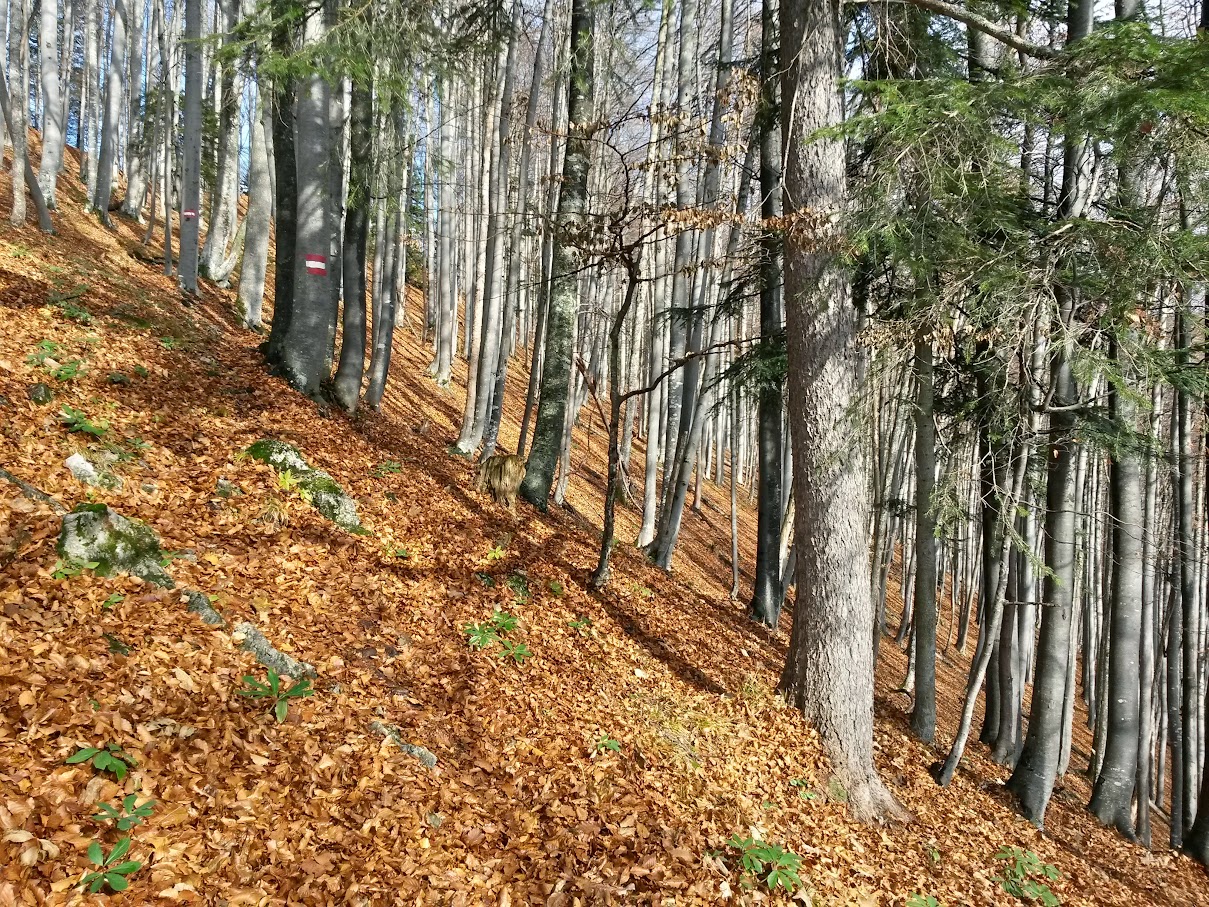 lh6.googleusercontent.com_-t7az6d1253s_vkdz3qotgzi_aaaaaaaapce_vnsfpmfsegu_w1209-h907-no_20151114_115456_richtone_2528hdr_2529.jpg lh6.googleusercontent.com_-t7az6d1253s_vkdz3qotgzi_aaaaaaaapce_vnsfpmfsegu_w1209-h907-no_20151114_115456_richtone_2528hdr_2529.jpg