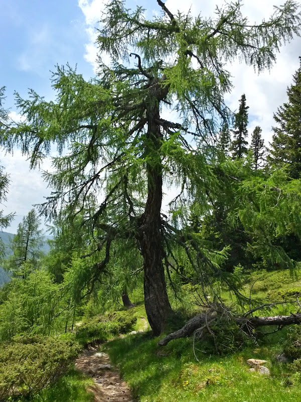 lh3.googleusercontent.com_-wb3fioz9aek_vxz0e-4tzxi_aaaaaaaakpu_rb_7nwvilrc_w600-h800-no_20150613_141848_richtone_2528hdr_2529.jpg lh3.googleusercontent.com_-wb3fioz9aek_vxz0e-4tzxi_aaaaaaaakpu_rb_7nwvilrc_w600-h800-no_20150613_141848_richtone_2528hdr_2529.jpg