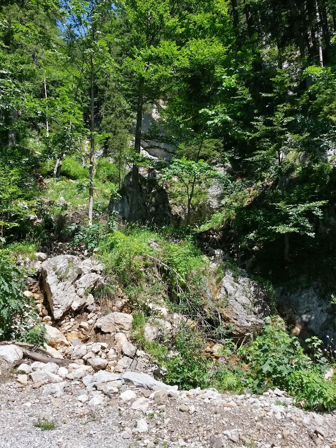 lh4.googleusercontent.com_-oh4xvs8jt3y_vbzfusds_6i_aaaaaaaam-0_ol4amzwbo04_w680-h907-no_20150801_114917_richtone_2528hdr_2529.jpg lh4.googleusercontent.com_-oh4xvs8jt3y_vbzfusds_6i_aaaaaaaam-0_ol4amzwbo04_w680-h907-no_20150801_114917_richtone_2528hdr_2529.jpg