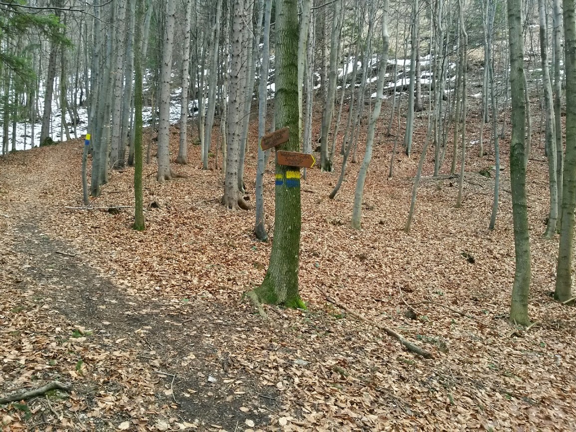 lh6.googleusercontent.com_-0zccydzsfry_uuz2oyzxxyi_aaaaaaaau6q_mepgpynnzvw_w1155-h866-no_20140201_100431_richtone_2528hdr_2529.jpg lh6.googleusercontent.com_-0zccydzsfry_uuz2oyzxxyi_aaaaaaaau6q_mepgpynnzvw_w1155-h866-no_20140201_100431_richtone_2528hdr_2529.jpg