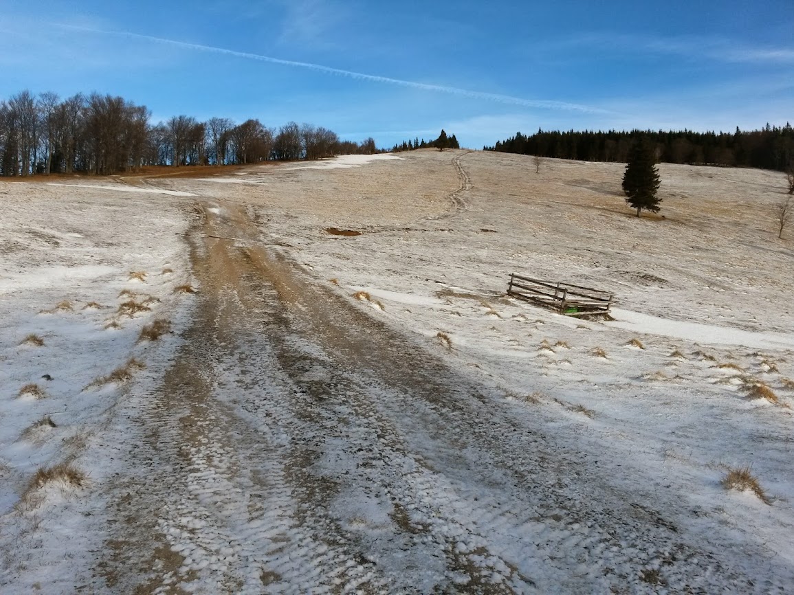 lh5.googleusercontent.com_-metdkmif414_utfz7qu5gki_aaaaaaaaugy_twuh3hy5nza_w1155-h866-no_20140111_104439_richtone_2528hdr_2529.jpg lh5.googleusercontent.com_-metdkmif414_utfz7qu5gki_aaaaaaaaugy_twuh3hy5nza_w1155-h866-no_20140111_104439_richtone_2528hdr_2529.jpg