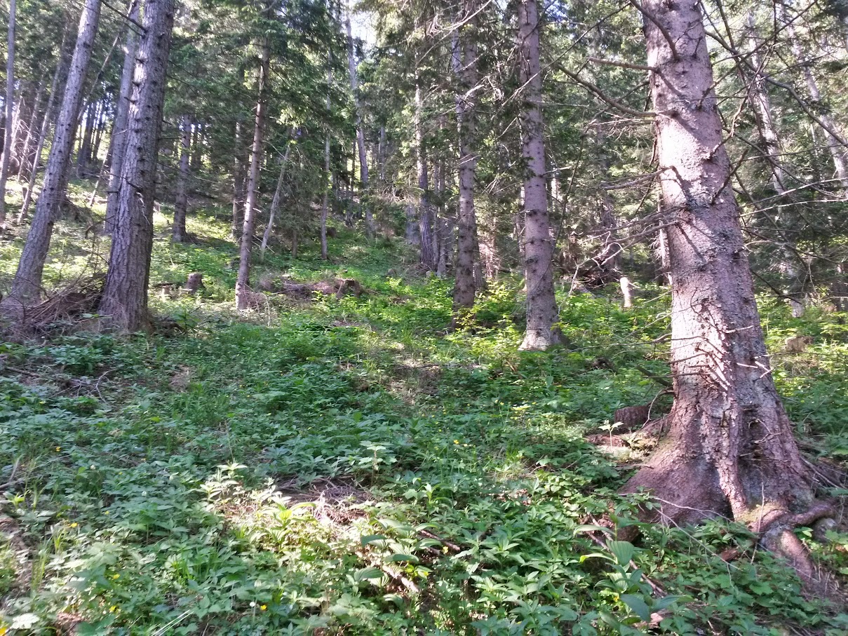 lh4.googleusercontent.com_--hbhslghqoe_vxl_mmr226i_aaaaaaaajzy_ugp2vls5bao_w1209-h907-no_20150606_090228_richtone_2528hdr_2529.jpg lh4.googleusercontent.com_--hbhslghqoe_vxl_mmr226i_aaaaaaaajzy_ugp2vls5bao_w1209-h907-no_20150606_090228_richtone_2528hdr_2529.jpg