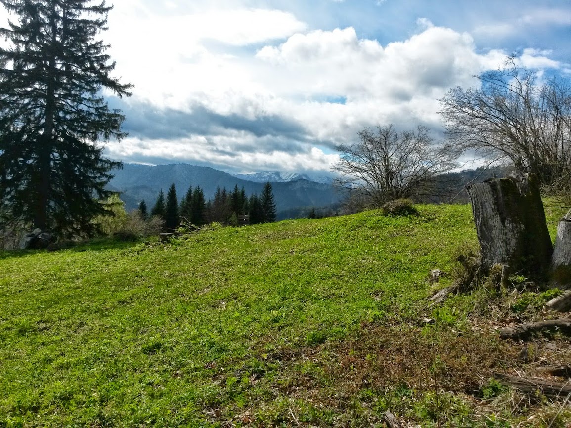 lh4.googleusercontent.com_-gg-v3rpk2dy_u1vxdd4psli_aaaaaaaaw8u_2mwfta_adgc_w1155-h866-no_20140421_103642.jpg lh4.googleusercontent.com_-gg-v3rpk2dy_u1vxdd4psli_aaaaaaaaw8u_2mwfta_adgc_w1155-h866-no_20140421_103642.jpg