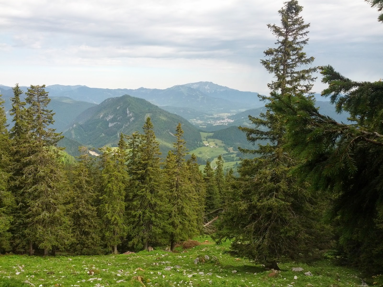 lh4.googleusercontent.com_-pc6ezgagneu_ubx3stpkhai_aaaaaaaanoi_olck9qehiwi_w1600-h1200-no_img_20130615_090805.jpg lh4.googleusercontent.com_-pc6ezgagneu_ubx3stpkhai_aaaaaaaanoi_olck9qehiwi_w1600-h1200-no_img_20130615_090805.jpg