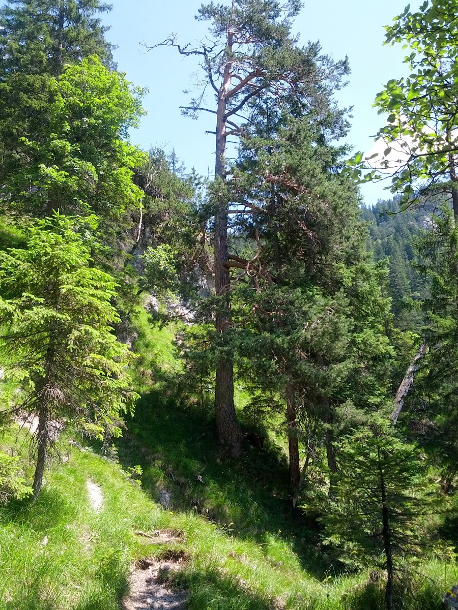 lh4.googleusercontent.com_-7wzv9rdlez4_ufqpqgrt9gi_aaaaaaaaouw_eqthcyxw-ee_w900-h1200-no_img_20130727_134002.jpg lh4.googleusercontent.com_-7wzv9rdlez4_ufqpqgrt9gi_aaaaaaaaouw_eqthcyxw-ee_w900-h1200-no_img_20130727_134002.jpg