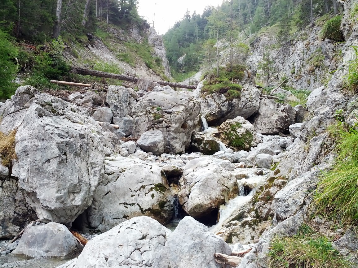 lh6.googleusercontent.com_-w6jyqc-d1os_uiimmmqaswi_aaaaaaaaqbc_pdpvg-vubr0_w1155-h866-no_img_20130831_133640.jpg lh6.googleusercontent.com_-w6jyqc-d1os_uiimmmqaswi_aaaaaaaaqbc_pdpvg-vubr0_w1155-h866-no_img_20130831_133640.jpg