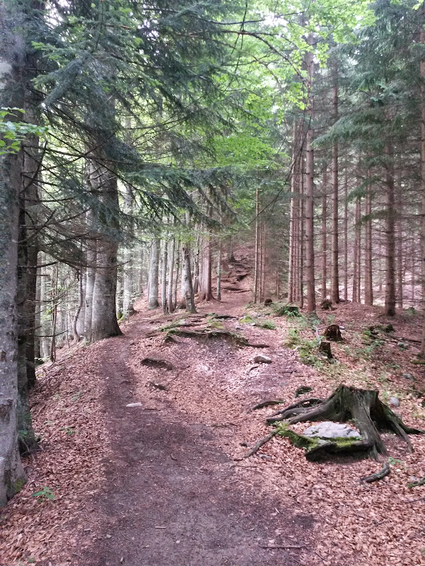 lh3.googleusercontent.com_-rv5kvarigbm_vyk8v7reibi_aaaaaaaaksg_gxfyirlpu5o_w600-h800-no_20150618_093611_richtone_2528hdr_2529.jpg lh3.googleusercontent.com_-rv5kvarigbm_vyk8v7reibi_aaaaaaaaksg_gxfyirlpu5o_w600-h800-no_20150618_093611_richtone_2528hdr_2529.jpg