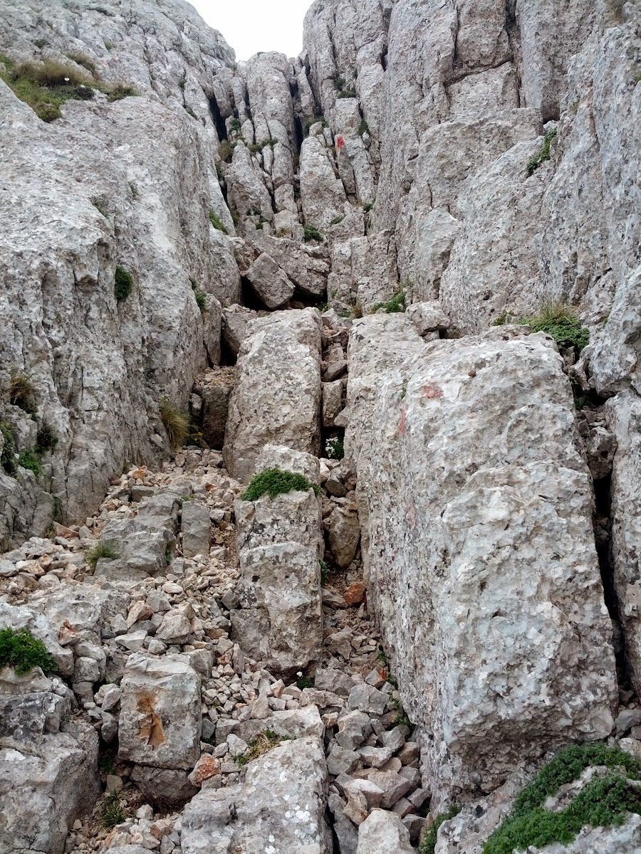 lh5.googleusercontent.com_-p5mrb1ttz2k_ucwpfqri3oi_aaaaaaaan6a_m0pdapshpya_w900-h1200-no_img_20130622_093619.jpg lh5.googleusercontent.com_-p5mrb1ttz2k_ucwpfqri3oi_aaaaaaaan6a_m0pdapshpya_w900-h1200-no_img_20130622_093619.jpg