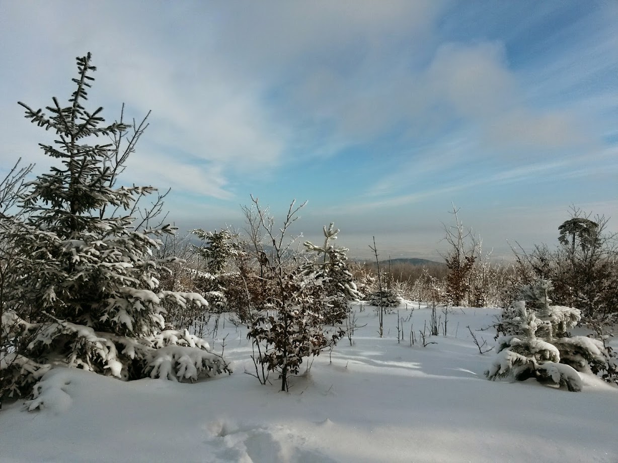 lh4.googleusercontent.com_-rqsw3uvbzdm_vkquphfvr1i_aaaaaaaagmg_nmdd46r5trk_w1228-h921-no_20141231_120114_richtone_28hdr_29.jpg lh4.googleusercontent.com_-rqsw3uvbzdm_vkquphfvr1i_aaaaaaaagmg_nmdd46r5trk_w1228-h921-no_20141231_120114_richtone_28hdr_29.jpg