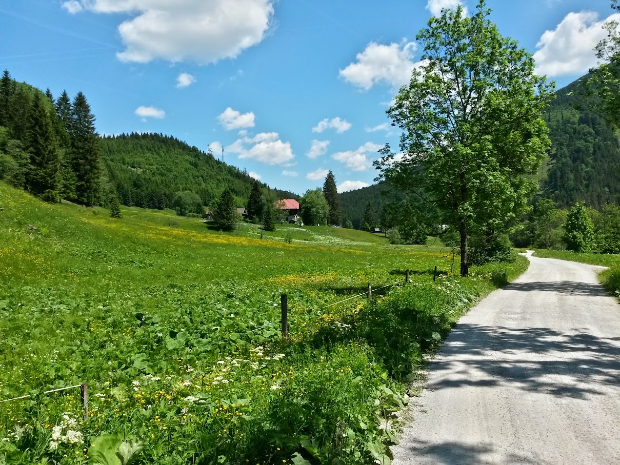 lh4.googleusercontent.com_-z6237fumjww_vxmahzm7sji_aaaaaaaaj1q_mr8zyzbfcus_w1209-h907-no_20150606_131336_richtone_2528hdr_2529.jpg lh4.googleusercontent.com_-z6237fumjww_vxmahzm7sji_aaaaaaaaj1q_mr8zyzbfcus_w1209-h907-no_20150606_131336_richtone_2528hdr_2529.jpg