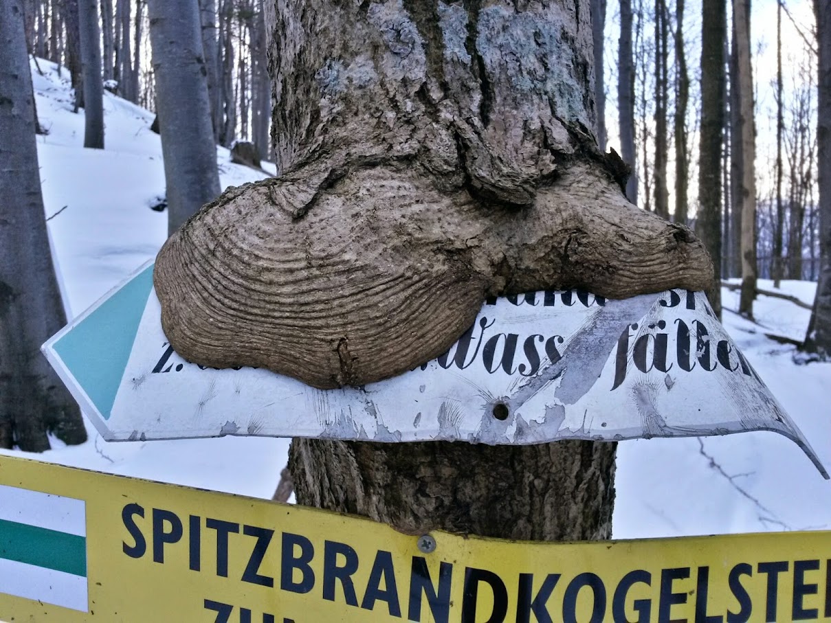 lh5.googleusercontent.com_-_8bf95qsk9c_vmzl2m2niqi_aaaaaaaahle_yoaf6ltr1mm_w1209-h907-no_20150131_110637_richtone_28hdr_29.jpg lh5.googleusercontent.com_-_8bf95qsk9c_vmzl2m2niqi_aaaaaaaahle_yoaf6ltr1mm_w1209-h907-no_20150131_110637_richtone_28hdr_29.jpg