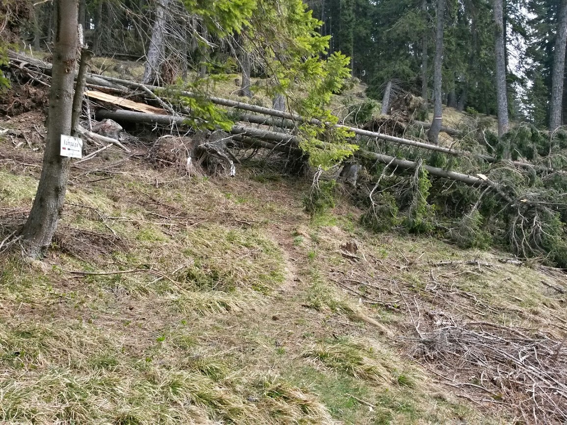 lh6.googleusercontent.com_-whwqcu6b1d8_uz_ji-oac6i_aaaaaaaawwc_imhkk-cwuo0_w1155-h866-no_20140405_110526_richtone_2528hdr_2529.jpg lh6.googleusercontent.com_-whwqcu6b1d8_uz_ji-oac6i_aaaaaaaawwc_imhkk-cwuo0_w1155-h866-no_20140405_110526_richtone_2528hdr_2529.jpg