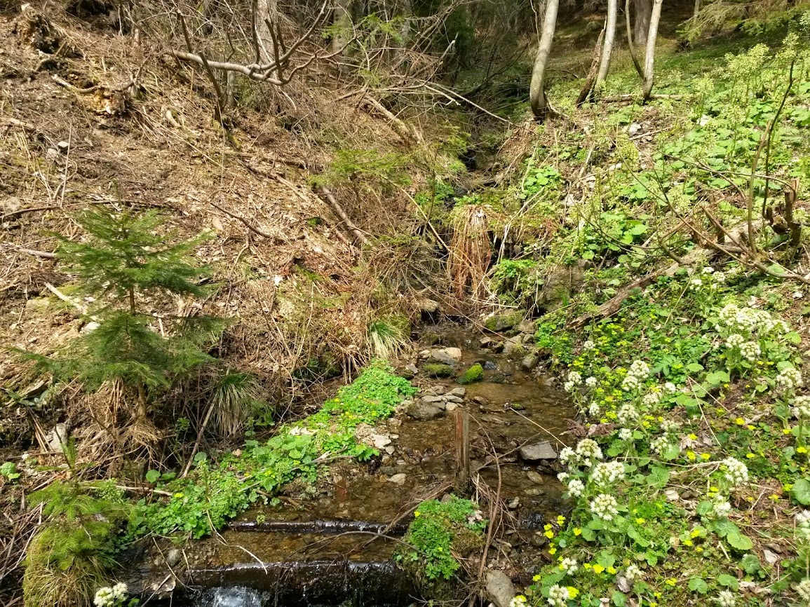 lh3.googleusercontent.com_-7lagiuw-il4_uz_i7vf0rbi_aaaaaaaawtq_r7nmxmg5jdo_w1155-h866-no_20140405_125017.jpg lh3.googleusercontent.com_-7lagiuw-il4_uz_i7vf0rbi_aaaaaaaawtq_r7nmxmg5jdo_w1155-h866-no_20140405_125017.jpg