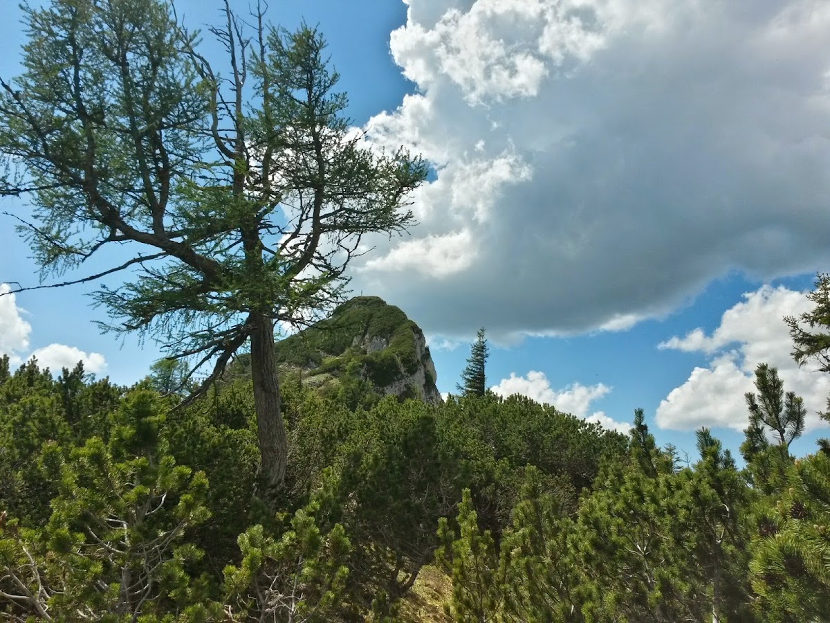 lh3.googleusercontent.com_-kdp_kdnji0y_u5nby67iaxi_aaaaaaaazam_u4nvkmy66c4_w1200-h900-no_20140607_135902_richtone_2528hdr_2529.jpg lh3.googleusercontent.com_-kdp_kdnji0y_u5nby67iaxi_aaaaaaaazam_u4nvkmy66c4_w1200-h900-no_20140607_135902_richtone_2528hdr_2529.jpg