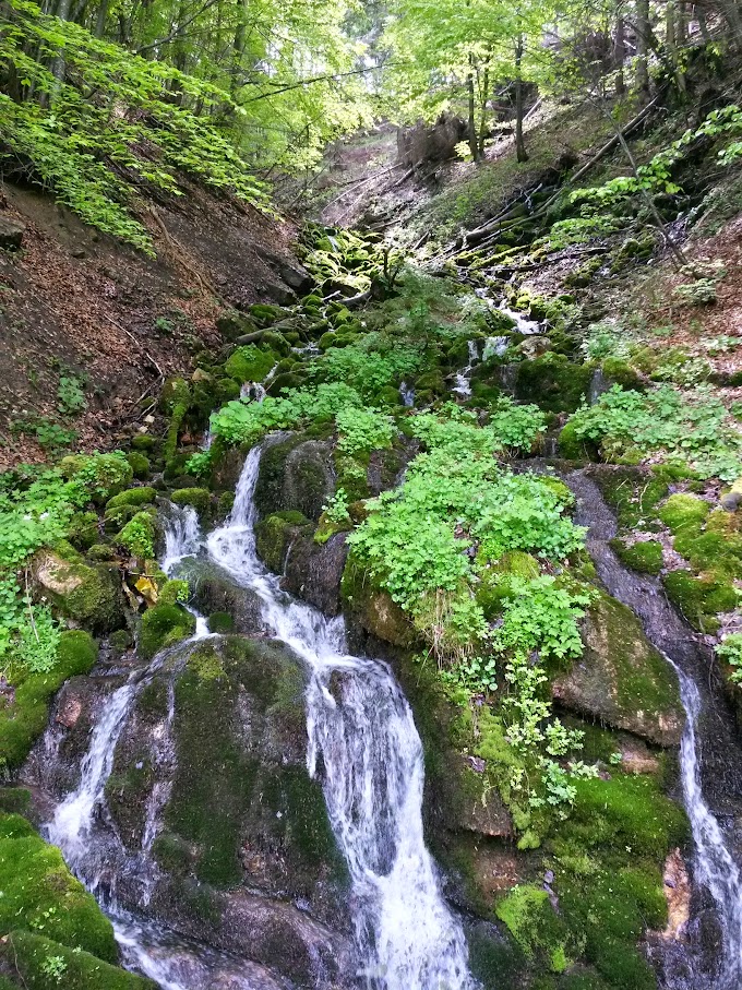 lh4.googleusercontent.com_-198jqzdm-0i_vvde0ll0a8i_aaaaaaaajmq_tbs0sbtiftq_w680-h907-no_20150516_133505_richtone_2528hdr_2529.jpg lh4.googleusercontent.com_-198jqzdm-0i_vvde0ll0a8i_aaaaaaaajmq_tbs0sbtiftq_w680-h907-no_20150516_133505_richtone_2528hdr_2529.jpg