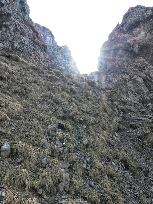 lh5.googleusercontent.com_-sqacilpu_qs_u2i-lkjuyui_aaaaaaaaxpk_r2gb3cfit9y_w650-h866-no_20140501_094453.jpg lh5.googleusercontent.com_-sqacilpu_qs_u2i-lkjuyui_aaaaaaaaxpk_r2gb3cfit9y_w650-h866-no_20140501_094453.jpg