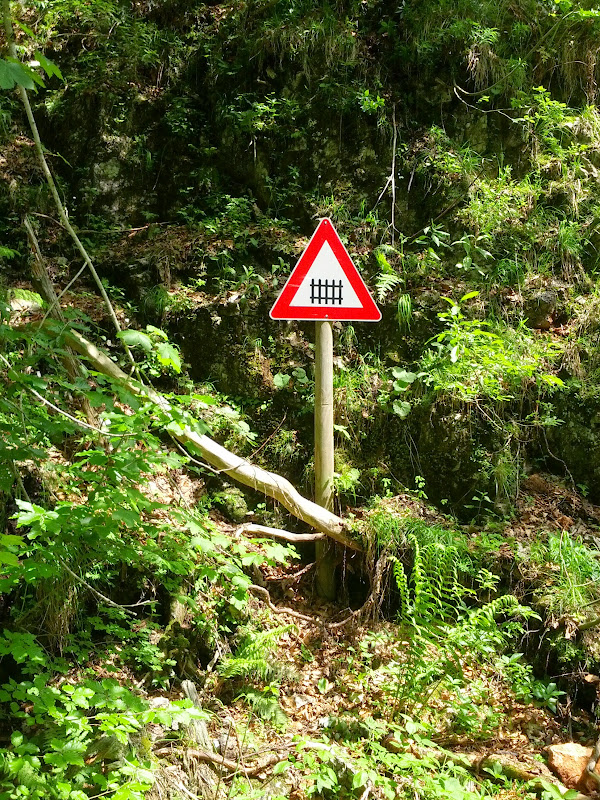 lh6.googleusercontent.com_-vtdqu-osahi_ubx_k5jkw1i_aaaaaaaanxu_hfh5bwr60r0_w600-h800-no_img_20130615_125818.jpg lh6.googleusercontent.com_-vtdqu-osahi_ubx_k5jkw1i_aaaaaaaanxu_hfh5bwr60r0_w600-h800-no_img_20130615_125818.jpg