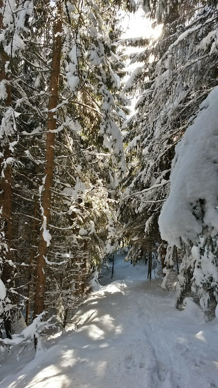 lh5.googleusercontent.com_-y61g1j2ajbi_up3oserkrki_aaaaaaaas-i_ra1w6u4a_as_w450-h800-no_20131203_110933_richtone_2528hdr_2529.jpg lh5.googleusercontent.com_-y61g1j2ajbi_up3oserkrki_aaaaaaaas-i_ra1w6u4a_as_w450-h800-no_20131203_110933_richtone_2528hdr_2529.jpg