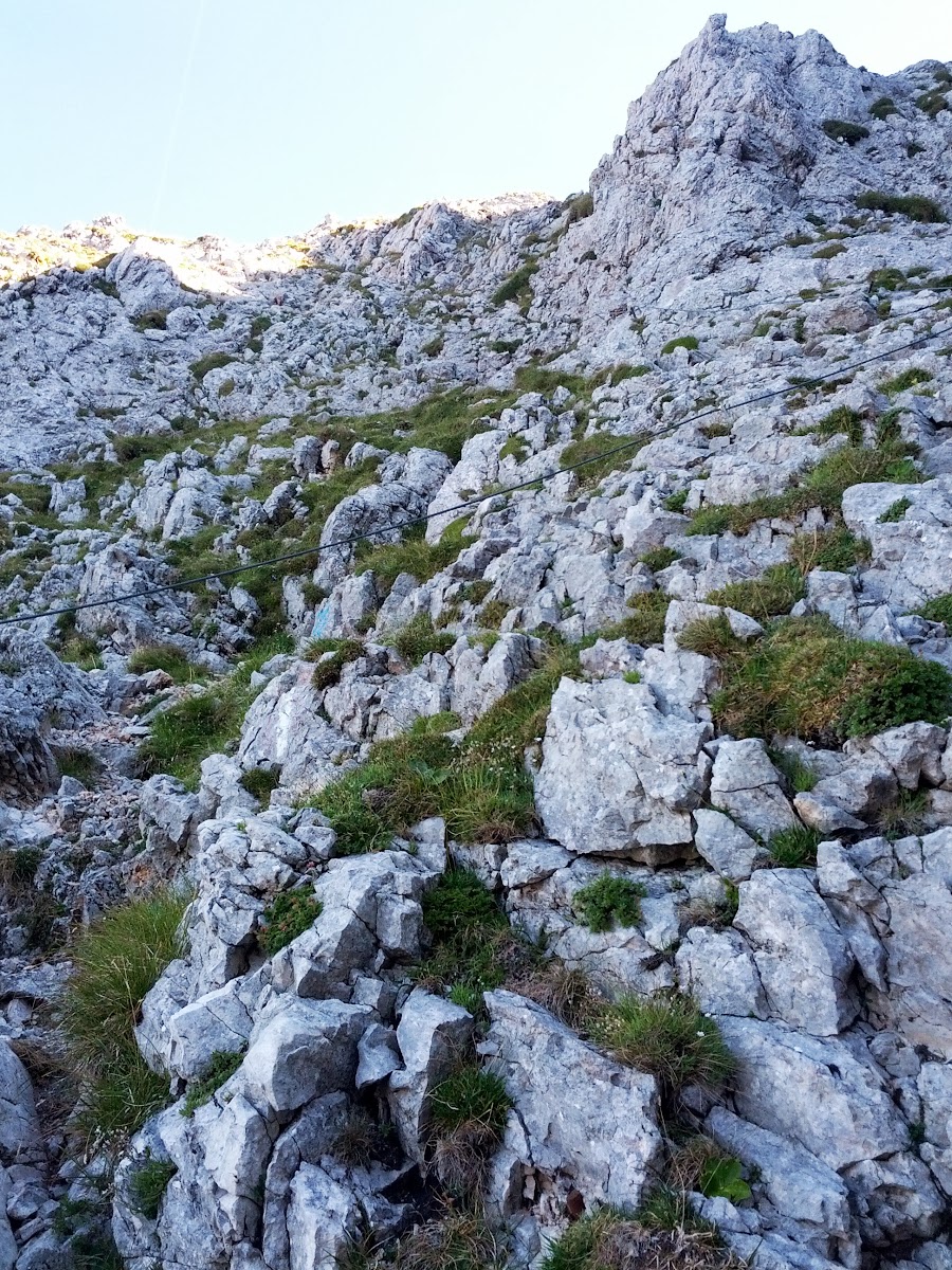 lh6.googleusercontent.com_-tjujh_g6ql8_ug-hyh8-oai_aaaaaaaapsc_eqokb35fig4_w900-h1200-no_img_20130817_095944.jpg lh6.googleusercontent.com_-tjujh_g6ql8_ug-hyh8-oai_aaaaaaaapsc_eqokb35fig4_w900-h1200-no_img_20130817_095944.jpg