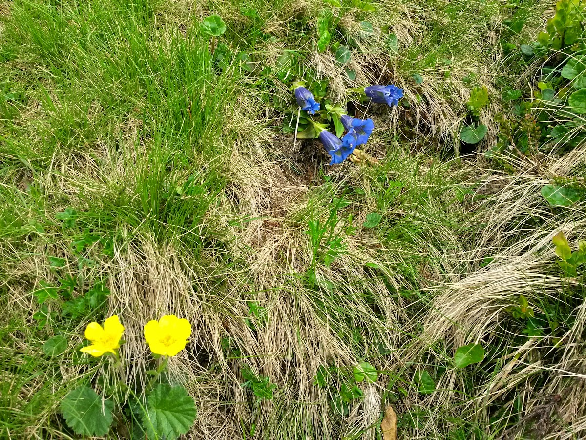 lh3.googleusercontent.com_-i519wegvvcu_vx2dk3ntp4i_aaaaaaaakn0_89dmaolx5ig_w1200-h900-no_20150613_094034_richtone_2528hdr_2529.jpg lh3.googleusercontent.com_-i519wegvvcu_vx2dk3ntp4i_aaaaaaaakn0_89dmaolx5ig_w1200-h900-no_20150613_094034_richtone_2528hdr_2529.jpg