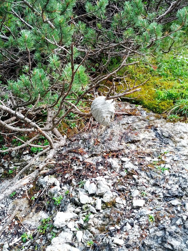 lh5.googleusercontent.com_-aqfvnlw9cjy_uiimhdrowui_aaaaaaaaqbe_8jwp0bmcdt8_w650-h866-no_img_20130831_130446.jpg lh5.googleusercontent.com_-aqfvnlw9cjy_uiimhdrowui_aaaaaaaaqbe_8jwp0bmcdt8_w650-h866-no_img_20130831_130446.jpg