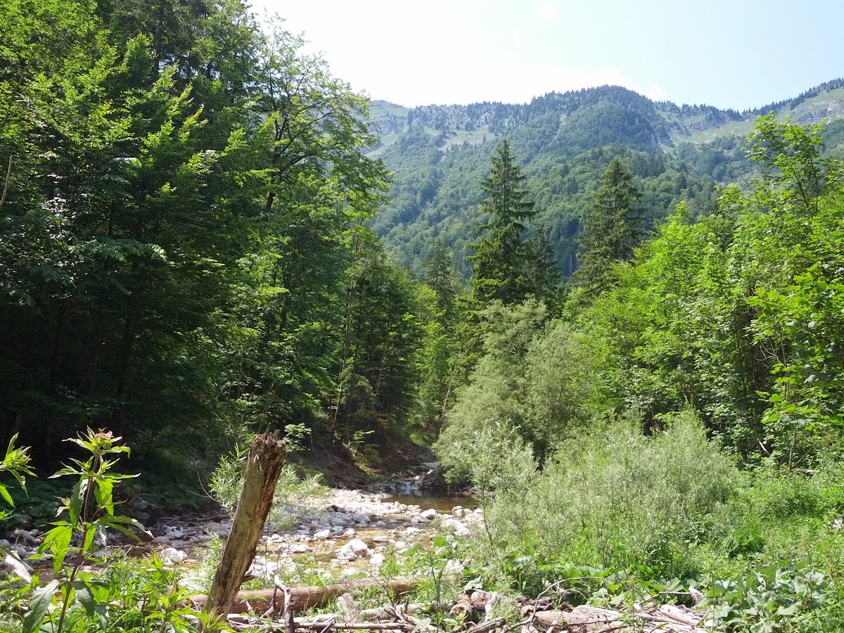 lh4.googleusercontent.com_-ca4vem5gqay_uefjb2bnxai_aaaaaaaaobs_cl0ioweeqvu_w1200-h900-no_img_20130713_134342.jpg lh4.googleusercontent.com_-ca4vem5gqay_uefjb2bnxai_aaaaaaaaobs_cl0ioweeqvu_w1200-h900-no_img_20130713_134342.jpg