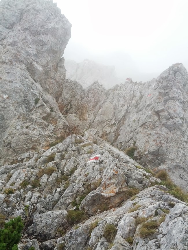 lh5.googleusercontent.com_-_kpmlisglwk_uhjnodnwpoi_aaaaaaaap3c_uyidfkoplxs_w650-h866-no_img_20130824_121222.jpg lh5.googleusercontent.com_-_kpmlisglwk_uhjnodnwpoi_aaaaaaaap3c_uyidfkoplxs_w650-h866-no_img_20130824_121222.jpg