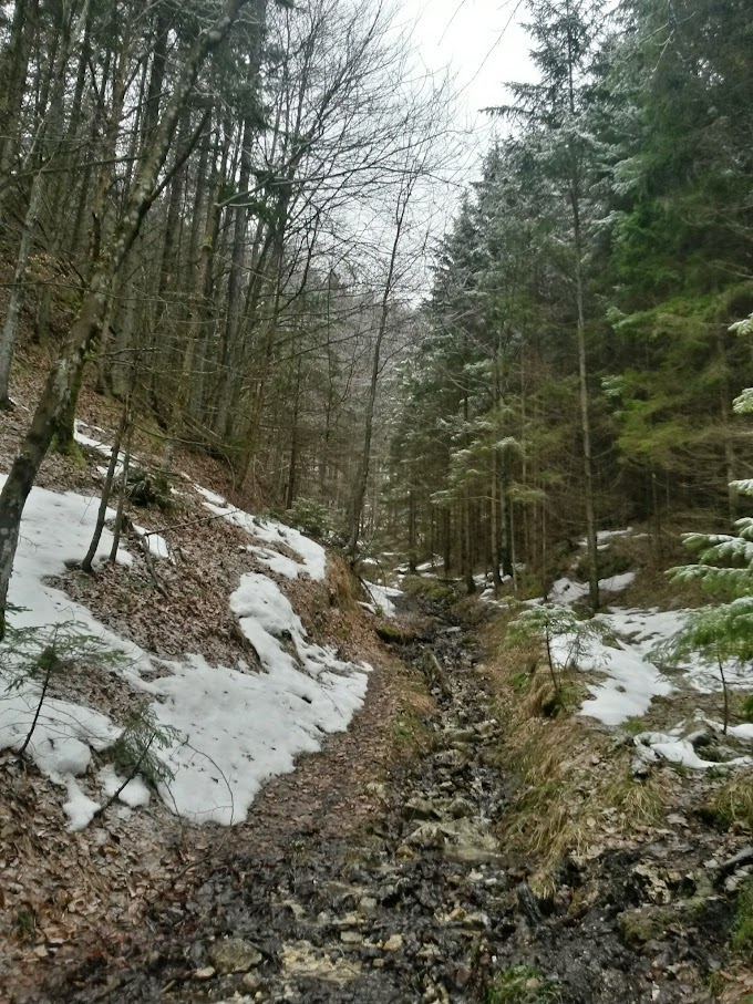 lh3.googleusercontent.com_-r1tudo4c68m_vmot3bzbcdi_aaaaaaaahii_0zcrte2nw7g_w680-h907-no_20150124_100329_richtone_28hdr_29.jpg lh3.googleusercontent.com_-r1tudo4c68m_vmot3bzbcdi_aaaaaaaahii_0zcrte2nw7g_w680-h907-no_20150124_100329_richtone_28hdr_29.jpg