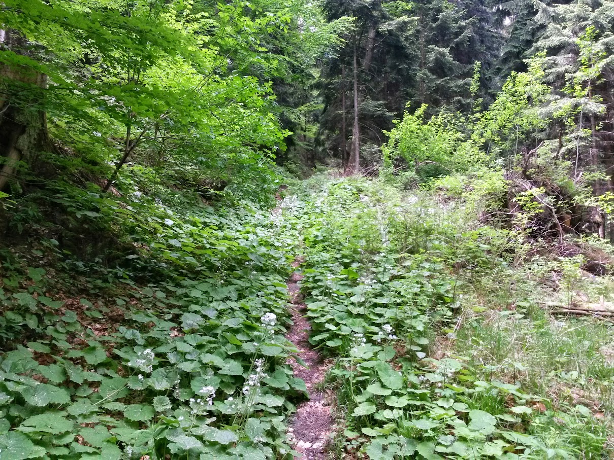 lh4.googleusercontent.com_-u1mpkckymx0_vvsttbq4h6i_aaaaaaaajby_5uoehmiarwm_w1209-h907-no_20150514_120643_richtone_2528hdr_2529.jpg lh4.googleusercontent.com_-u1mpkckymx0_vvsttbq4h6i_aaaaaaaajby_5uoehmiarwm_w1209-h907-no_20150514_120643_richtone_2528hdr_2529.jpg