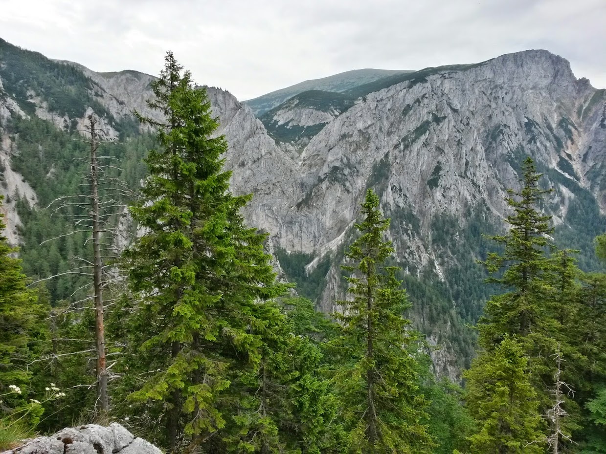 lh6.googleusercontent.com_-i7nppz4rcia_u7f945ad3ai_aaaaaaaabak_fiukaqewjiq_w1239-h929-no_20140705_114215_richtone_2528hdr_2529.jpg lh6.googleusercontent.com_-i7nppz4rcia_u7f945ad3ai_aaaaaaaabak_fiukaqewjiq_w1239-h929-no_20140705_114215_richtone_2528hdr_2529.jpg