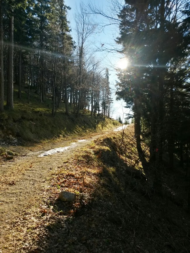 lh5.googleusercontent.com_-mnuikf4rtvy_ur7oillmnqi_aaaaaaaaufw_ozco2hihtpi_w650-h866-no_20131228_105123_richtone_2528hdr_2529.jpg lh5.googleusercontent.com_-mnuikf4rtvy_ur7oillmnqi_aaaaaaaaufw_ozco2hihtpi_w650-h866-no_20131228_105123_richtone_2528hdr_2529.jpg