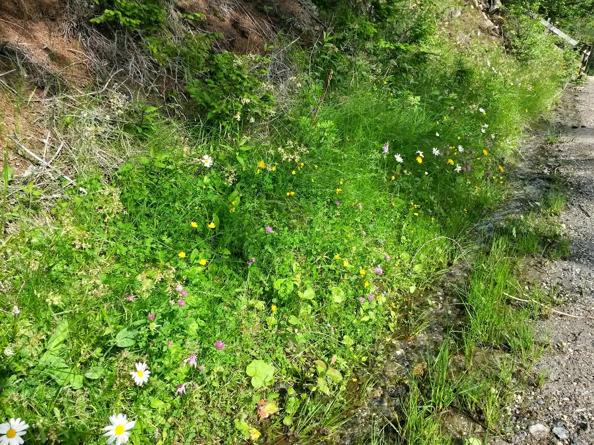 lh6.googleusercontent.com_-dgbofplc5ww_vywkfl4uiyi_aaaaaaaamue_vn5e7zsikcg_w1209-h907-no_20150625_163544_richtone_2528hdr_2529.jpg lh6.googleusercontent.com_-dgbofplc5ww_vywkfl4uiyi_aaaaaaaamue_vn5e7zsikcg_w1209-h907-no_20150625_163544_richtone_2528hdr_2529.jpg