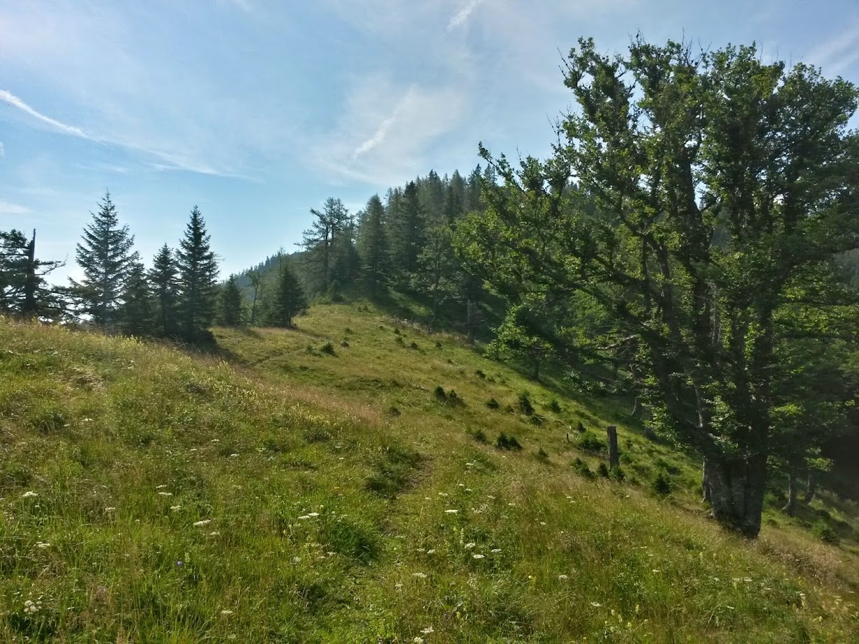 lh6.googleusercontent.com_-qmwmdtu_ebq_u9ozgx7hr_i_aaaaaaaabw8_4ustmfv7kuc_w1228-h921-no_20140726_090145_richtone_2528hdr_2529.jpg lh6.googleusercontent.com_-qmwmdtu_ebq_u9ozgx7hr_i_aaaaaaaabw8_4ustmfv7kuc_w1228-h921-no_20140726_090145_richtone_2528hdr_2529.jpg