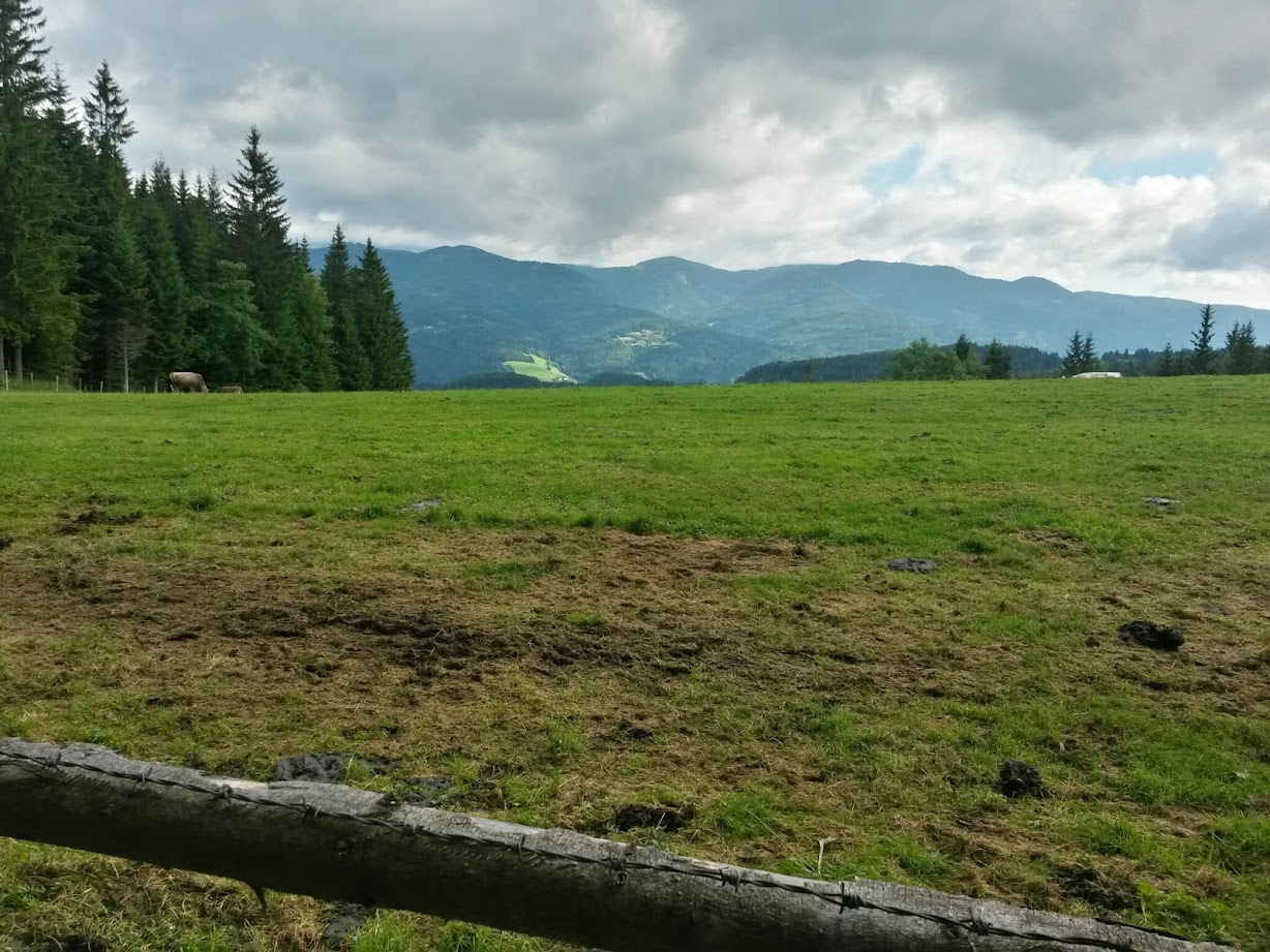 lh6.googleusercontent.com_-k1znnvyapmi_u8fyxu_zasi_aaaaaaaabiy_ztew0205hny_w1228-h921-no_20140712_090547_richtone_2528hdr_2529.jpg lh6.googleusercontent.com_-k1znnvyapmi_u8fyxu_zasi_aaaaaaaabiy_ztew0205hny_w1228-h921-no_20140712_090547_richtone_2528hdr_2529.jpg