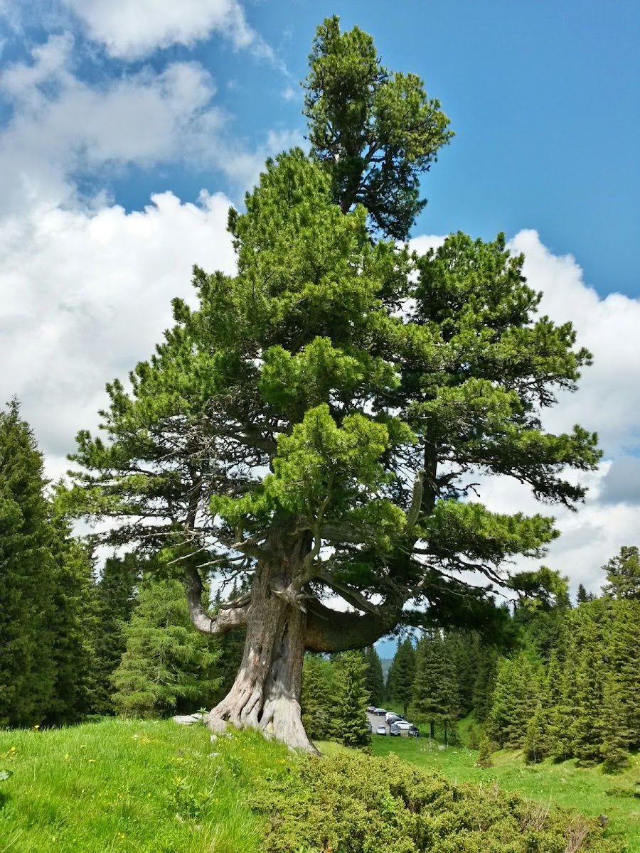 lh3.googleusercontent.com_-wnvollrtwh8_u5xfhaq-lni_aaaaaaaazxq_r0yd79zfedg_w900-h1200-no_20140614_142933_richtone_2528hdr_2529.jpg lh3.googleusercontent.com_-wnvollrtwh8_u5xfhaq-lni_aaaaaaaazxq_r0yd79zfedg_w900-h1200-no_20140614_142933_richtone_2528hdr_2529.jpg