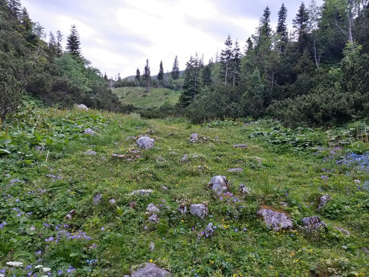 lh5.googleusercontent.com_-1fi_bi-_hsm_u7f9zl4h1oi_aaaaaaaaa94_w-kyu94ebei_w1239-h929-no_20140705_100343_richtone_2528hdr_2529.jpg lh5.googleusercontent.com_-1fi_bi-_hsm_u7f9zl4h1oi_aaaaaaaaa94_w-kyu94ebei_w1239-h929-no_20140705_100343_richtone_2528hdr_2529.jpg