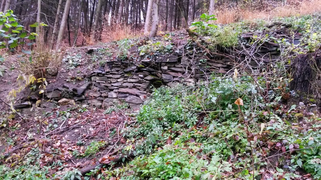 lh4.googleusercontent.com_-aly2pobleks_upcshaunloi_aaaaaaaaskm_mdjat3kclrc_w1353-h761-no_20131123_123900.jpg lh4.googleusercontent.com_-aly2pobleks_upcshaunloi_aaaaaaaaskm_mdjat3kclrc_w1353-h761-no_20131123_123900.jpg