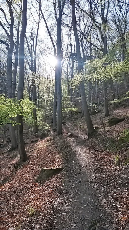 lh6.googleusercontent.com_-ggxlz0na7bc_vsu5jw8z6fi_aaaaaaaaib0_ijomgufzkhi_w510-h907-no_20150413_091450_richtone_28hdr_29.jpg lh6.googleusercontent.com_-ggxlz0na7bc_vsu5jw8z6fi_aaaaaaaaib0_ijomgufzkhi_w510-h907-no_20150413_091450_richtone_28hdr_29.jpg