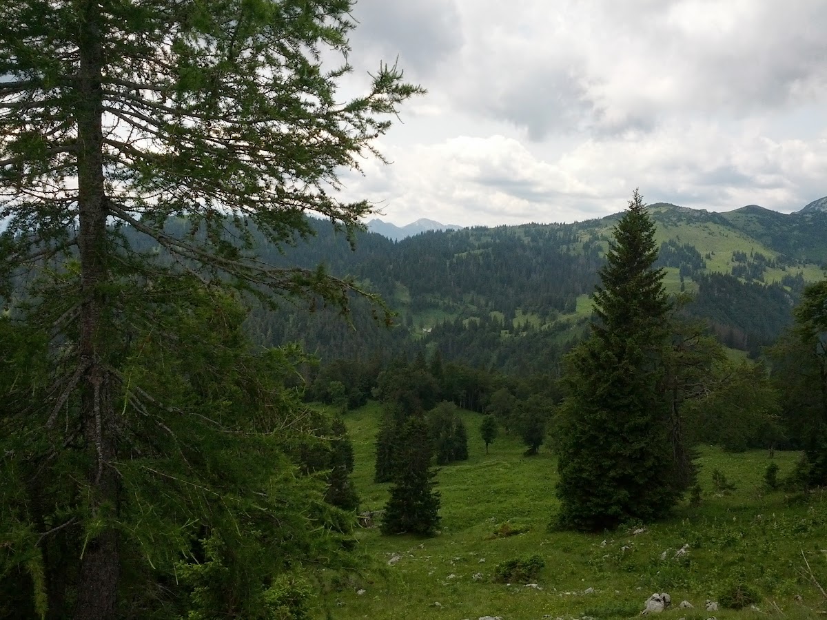 lh4.googleusercontent.com_-if_d6hhd7j4_uefgrrwlqzi_aaaaaaaaoys_u3unwq-69ug_w1200-h900-no_img_20130713_112250.jpg lh4.googleusercontent.com_-if_d6hhd7j4_uefgrrwlqzi_aaaaaaaaoys_u3unwq-69ug_w1200-h900-no_img_20130713_112250.jpg