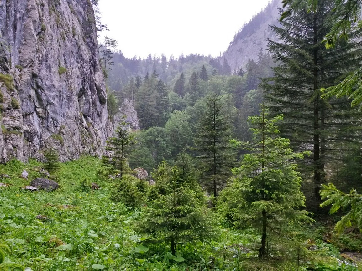 lh6.googleusercontent.com_-1tgatslrshw_u4nqrr0oz9i_aaaaaaaayoi_66e_t8bntca_w1155-h866-no_20140531_125730_richtone_2528hdr_2529.jpg lh6.googleusercontent.com_-1tgatslrshw_u4nqrr0oz9i_aaaaaaaayoi_66e_t8bntca_w1155-h866-no_20140531_125730_richtone_2528hdr_2529.jpg