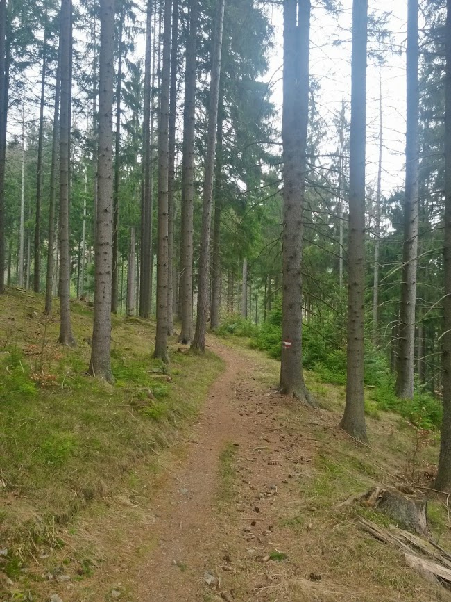 lh4.googleusercontent.com_-0x17ctb_1r8_uyqewimj3vi_aaaaaaaavzq_urplrheyk_y_w650-h866-no_20140315_084135_richtone_2528hdr_2529.jpg lh4.googleusercontent.com_-0x17ctb_1r8_uyqewimj3vi_aaaaaaaavzq_urplrheyk_y_w650-h866-no_20140315_084135_richtone_2528hdr_2529.jpg