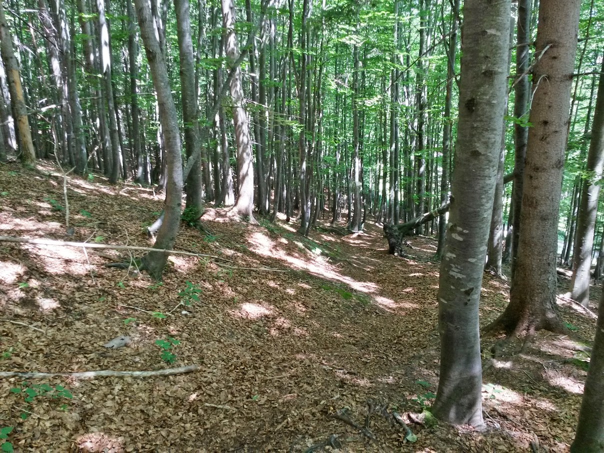 lh6.googleusercontent.com_-7aq9p7qhedc_vafejwqa3ti_aaaaaaaampw_k7zyjpja28q_w1209-h907-no_20150711_141631_richtone_2528hdr_2529.jpg lh6.googleusercontent.com_-7aq9p7qhedc_vafejwqa3ti_aaaaaaaampw_k7zyjpja28q_w1209-h907-no_20150711_141631_richtone_2528hdr_2529.jpg