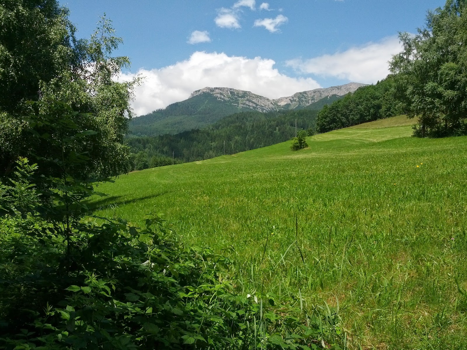 lh3.googleusercontent.com_-ipypvagjv9y_udaxxt9o3li_aaaaaaaaoh4_0qb-axg25pq_w1600-h1200-no_img_20130630_114430.jpg lh3.googleusercontent.com_-ipypvagjv9y_udaxxt9o3li_aaaaaaaaoh4_0qb-axg25pq_w1600-h1200-no_img_20130630_114430.jpg