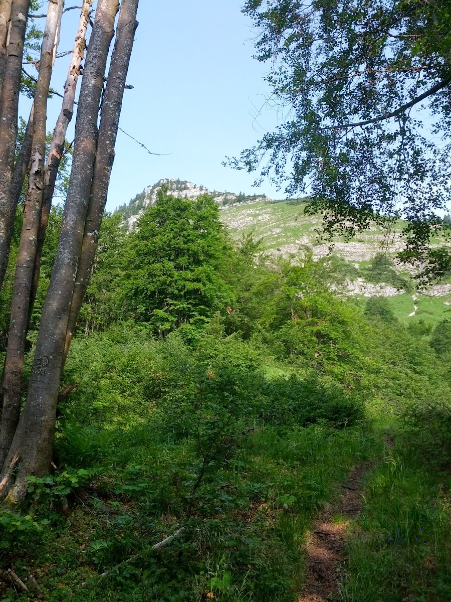 lh3.googleusercontent.com_-phtnnog6z70_uefdqyhm31i_aaaaaaaaovc_mhxaim3nevi_w900-h1200-no_img_20130713_082740.jpg lh3.googleusercontent.com_-phtnnog6z70_uefdqyhm31i_aaaaaaaaovc_mhxaim3nevi_w900-h1200-no_img_20130713_082740.jpg