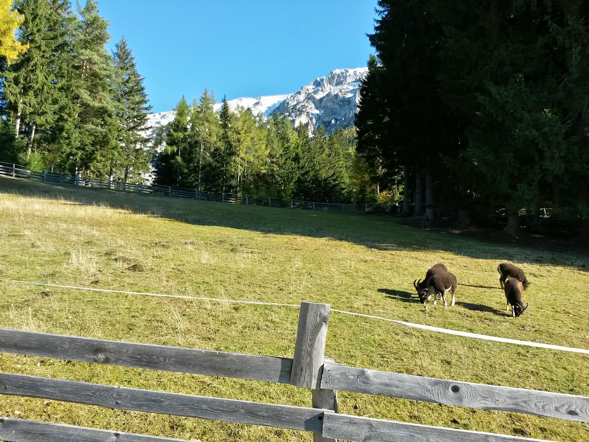 lh4.googleusercontent.com_-tebsarwnq_s_viukcvb9x8i_aaaaaaaaoeg_qozn4ftfg7c_w1209-h907-no_20151024_101444_richtone_2528hdr_2529.jpg lh4.googleusercontent.com_-tebsarwnq_s_viukcvb9x8i_aaaaaaaaoeg_qozn4ftfg7c_w1209-h907-no_20151024_101444_richtone_2528hdr_2529.jpg