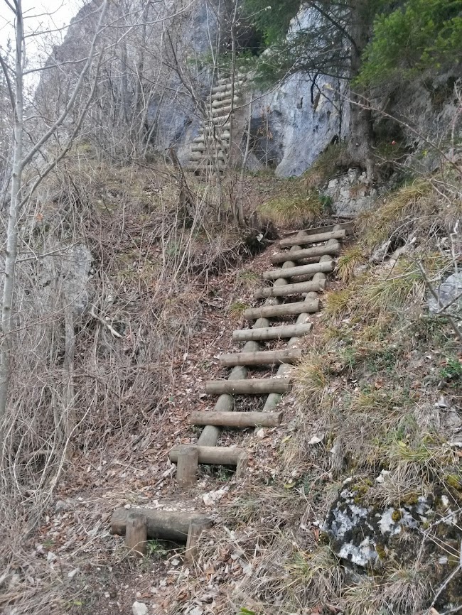 lh5.googleusercontent.com_-yn1gtw2_zrw_urrpm5vhe-i_aaaaaaaat-8_rp9oic2_zg4_w650-h866-no_20131225_120805_richtone_2528hdr_2529.jpg lh5.googleusercontent.com_-yn1gtw2_zrw_urrpm5vhe-i_aaaaaaaat-8_rp9oic2_zg4_w650-h866-no_20131225_120805_richtone_2528hdr_2529.jpg