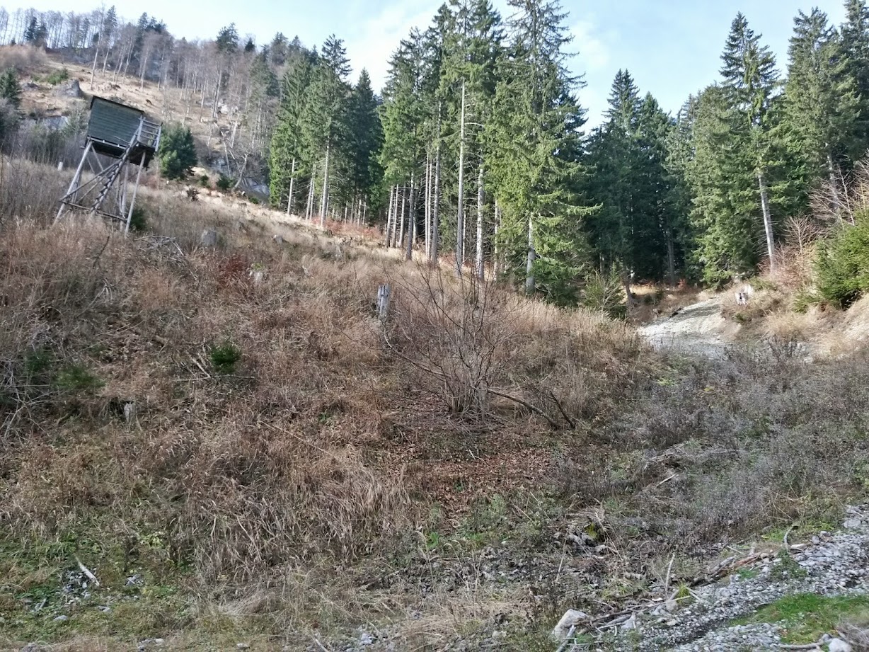 lh5.googleusercontent.com_-prn_tj6muh8_vgdskpatfmi_aaaaaaaae5q_yesfv-3znd4_w1228-h921-no_20141115_104400_richtone_28hdr_29.jpg lh5.googleusercontent.com_-prn_tj6muh8_vgdskpatfmi_aaaaaaaae5q_yesfv-3znd4_w1228-h921-no_20141115_104400_richtone_28hdr_29.jpg