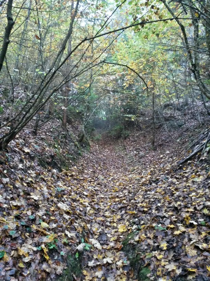 lh6.googleusercontent.com_-zdz6ytxqcli_vhkd1kii6gi_aaaaaaaaori_gvbi2zjkbms_w680-h907-no_20151010_093522_richtone_2528hdr_2529.jpg lh6.googleusercontent.com_-zdz6ytxqcli_vhkd1kii6gi_aaaaaaaaori_gvbi2zjkbms_w680-h907-no_20151010_093522_richtone_2528hdr_2529.jpg