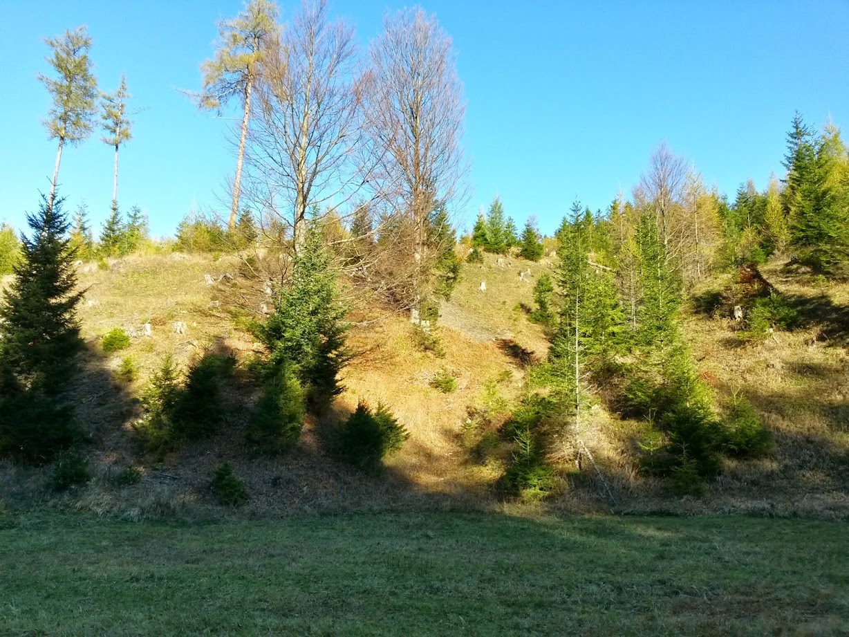 lh4.googleusercontent.com_-qtr2-2vj4tq_veu8cmto4mi_aaaaaaaaeea_am-ld4msk0e_w1228-h921-no_20141025_143433_richtone_28hdr_29.jpg lh4.googleusercontent.com_-qtr2-2vj4tq_veu8cmto4mi_aaaaaaaaeea_am-ld4msk0e_w1228-h921-no_20141025_143433_richtone_28hdr_29.jpg